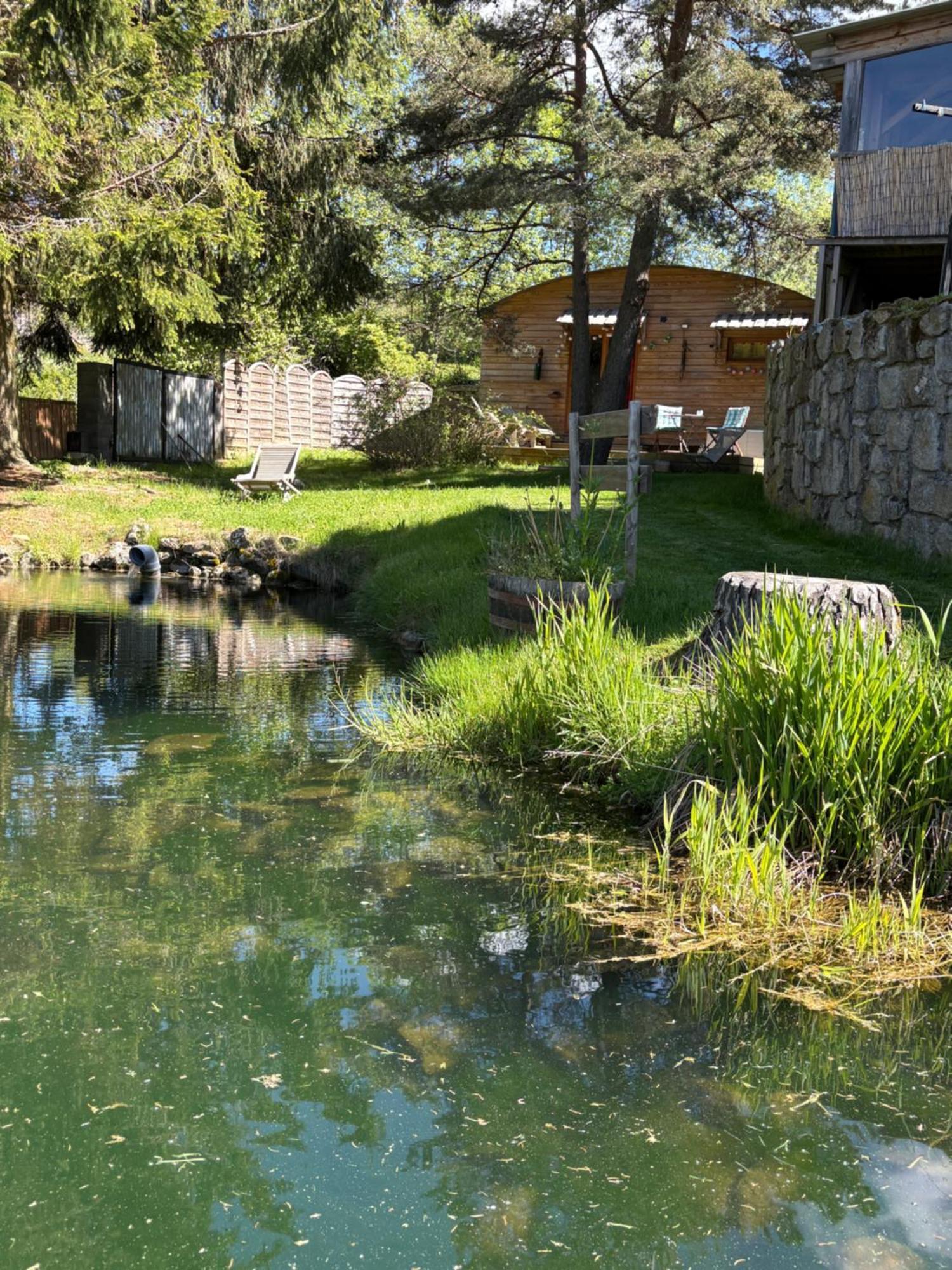 Chalet Grenouille Domaine De La Mamounette Champclause Ngoại thất bức ảnh